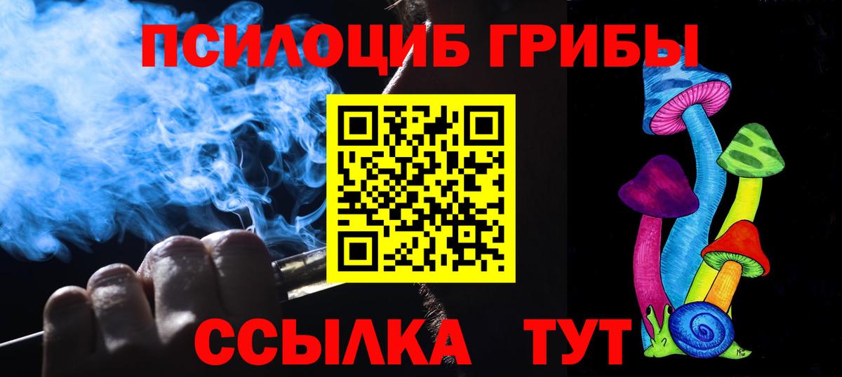 Псилоцибиновые грибы GOLDEN TEACHER Сокол