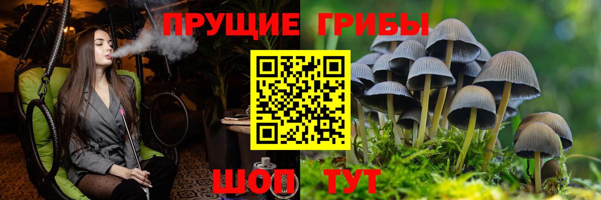 Галлюциногенные грибы Magic Shrooms  Псилоцибиновые грибы мухоморы  Вход с VPN  сколько стоит  Сокол 